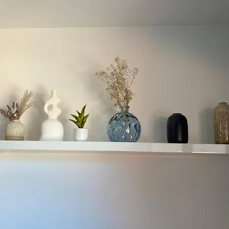 Panorama Du Vallespir *