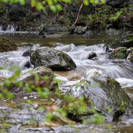 Сasa de vacaciones Panorama Du Vallespir