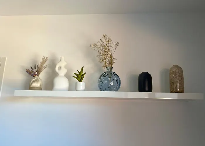 Panorama Du Vallespir *